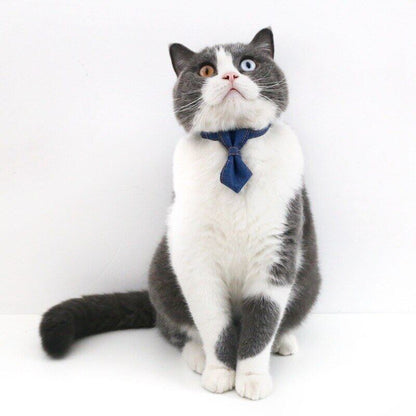 Amazing Pet Bow Tie Dog/Cat Collar Adjustable Neck Tie