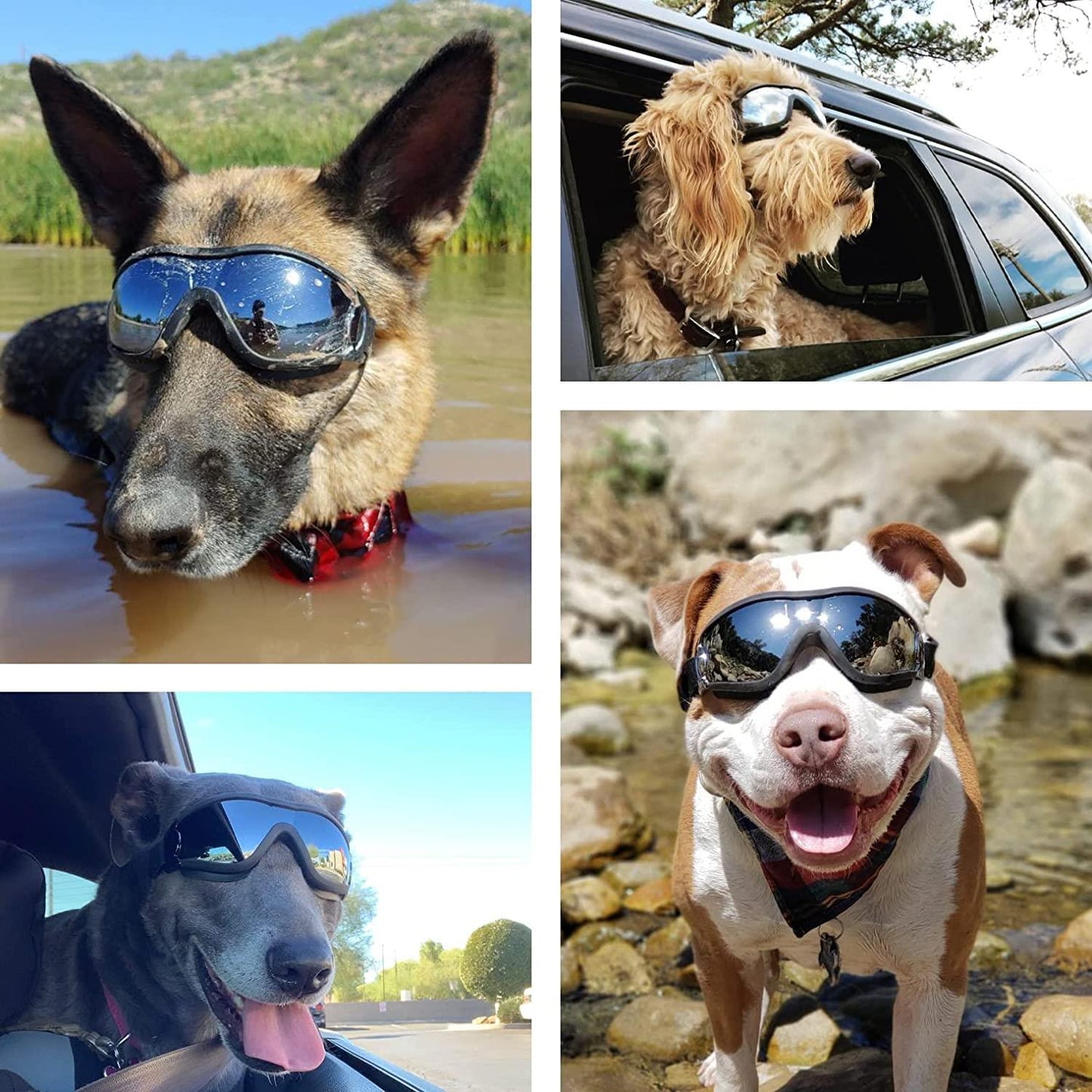 Adjustable Protective Sunglasses for Dogs